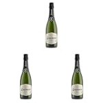 Análisis del Codorníu Brut Ecológico: Una joya enológica sostenible