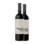 Zuccardi Malbec: Descubre por qué es uno de los mejores vinos para disfrutar Zuccardi Malbec: Descubre por qué es uno de los mejores vinos para disfrutar