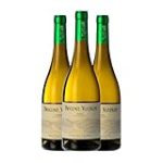 Descubriendo la Experiencia Perfecta: La Mejor Visita a Bodegas en Ribeira Sacra para Amantes del Vino Descubriendo la Experiencia Perfecta: La Mejor Visita a Bodegas en Ribeira Sacra para Amantes del Vino