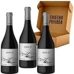 Hito enológico: Descubre la excelencia de Bodegas Cepa 21 Hito enológico: Descubre la excelencia de Bodegas Cepa 21