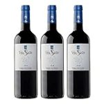 Análisis detallado de las joyas enológicas de Bodegas Sastre: descubre los mejores vinos para tu paladar Análisis detallado de las joyas enológicas de Bodegas Sastre: descubre los mejores vinos para tu paladar